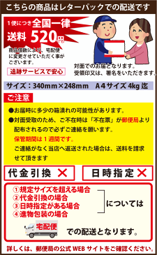 香立 美濃焼角型 コスモス コーン型スティック型用 【レターパックプラス配送：送料510円】 代引・日時指定不可0201a010a