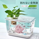 【GW応援ポイント10倍+限定クーポン】 金魚鉢 水槽 プラスチック インテリア 容器 透明 クリア 水培 鉢 インテ 観葉植物 多肉植物 多機能 転倒防止 可...