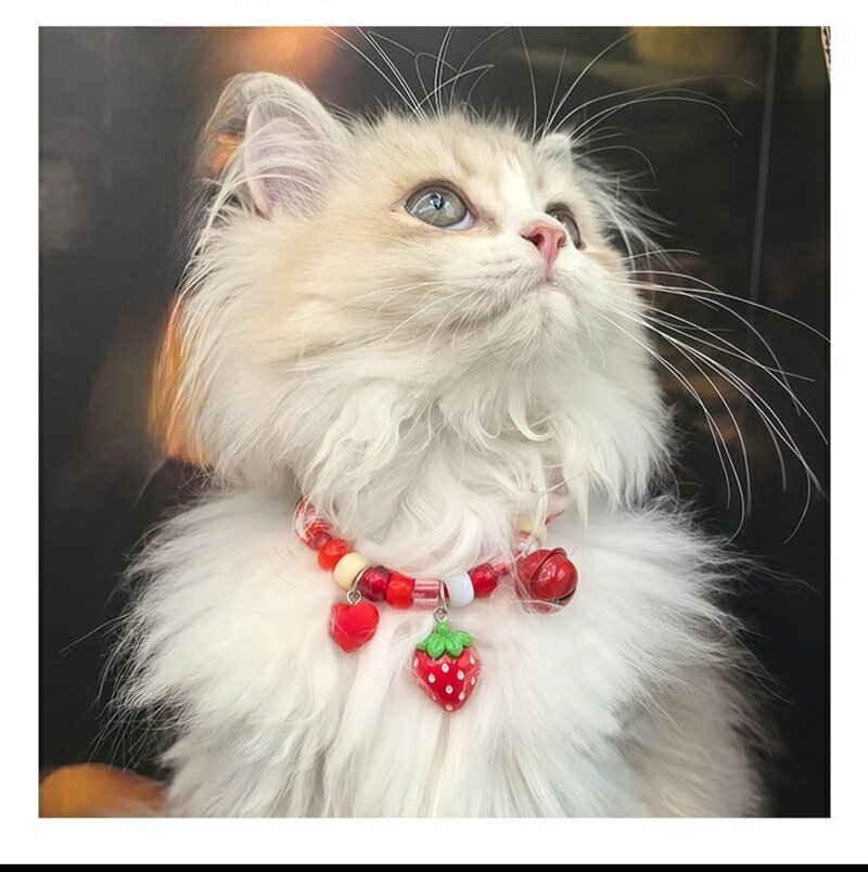猫用 猫用首輪 猫首輪 鈴 のびる おしゃれ かわいい カジュアルカラー 安全 超軽量 ペット用品 猫用品 プレゼント 贈り物 猫グッズ サイズ調節