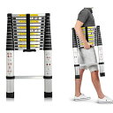 DayPlus 伸縮はしご 最長3.8 m (12.5 ft) 折り畳み伸縮梯子 多機能アルミはしご 持ち運びに便利 軽量 耐荷重150 kg 室内室外両用 自動ロック 安全ロック スライド式 アルミ梯子 ホームロフトオフィスに適合 日本語説明書 1