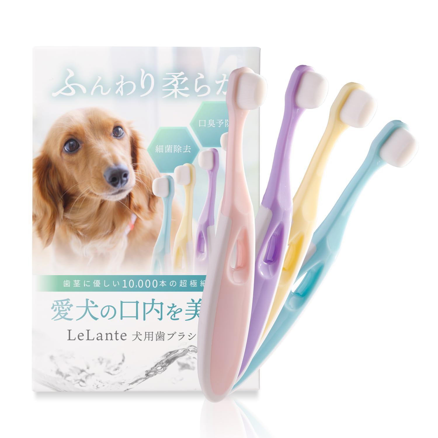 LeLante 犬 歯ブラシ 小型犬 【10000本の超極細毛】犬用歯ブラシ ペット 猫 ナノ歯ブラシ 口腔ケア/柔らかい/歯茎に優しい 【犬用・猫用・カラフルな4色セット】のサムネイル