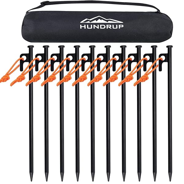 【強化版】ペグセット 鍛造ペグ 30cm 10本セット 反射材入りロープ キャンプ ペグ 収納ケース付き φ10mm 設営用具 テントペグ アウトドア 登山 硬い土 砂地 草地用