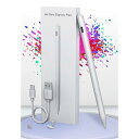 iPad タッチペン 第10世代対応 2024 最新型/傾き感知/磁気吸着機能対応/超高感度/リターンボタン/バッテリー残量表示 iPad ペンシル 誤作動防止機能対応 軽量 耐摩 USB C充電式 apple pencil 2018年以降iPad/(2)