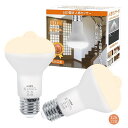 LED電球 人感センサー 電球 E26口金 7W センサー照明 電球色 800LM 2700K 60W相当 自動点灯 消灯 明暗センサー付 廊下灯 玄関灯 洗面所 階段 室内用 2個セット