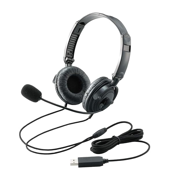 ヘッドセット 有線 USB マイク 両耳 オーバーヘッド 1.8m 折り畳み式 40mmドライバ ブラック HS-HP20UBK