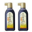 墨汁 清書用 書写楽墨液 180mL 2本パック AB-07-2P