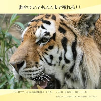 LUMIX デジタルカメラ 光学60倍 ズーム 対応 DC-FZ85D-K ブラック