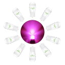 T10 12V LED ピンク ポジションランプ クリアランスランプ ルームランプ 無極性 T10 セラミック 放熱 300°超拡散角 10個入