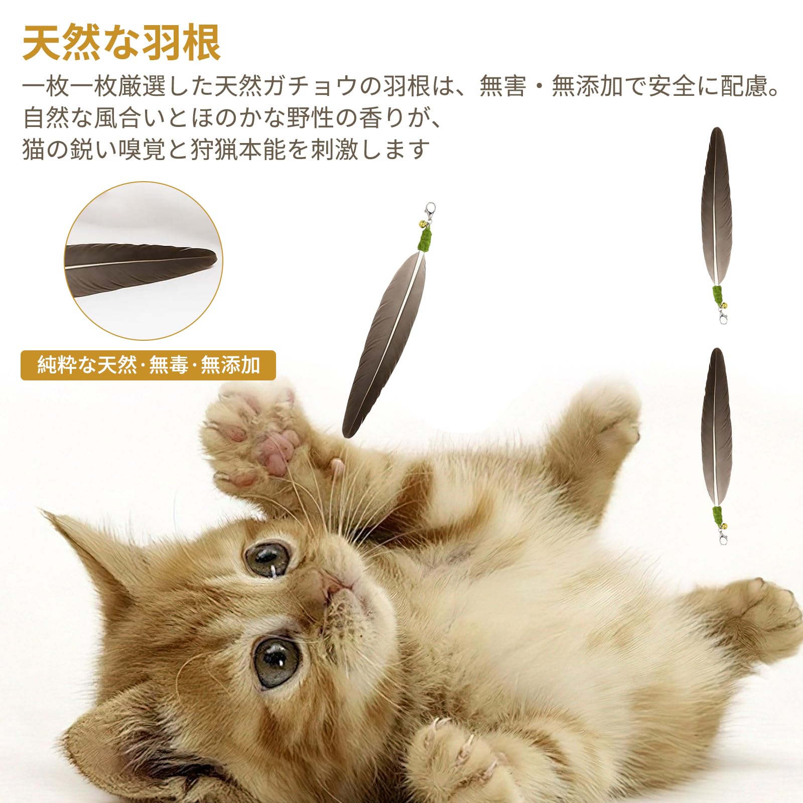 [aninako] 猫じゃらし 天然羽根 交換...の紹介画像3