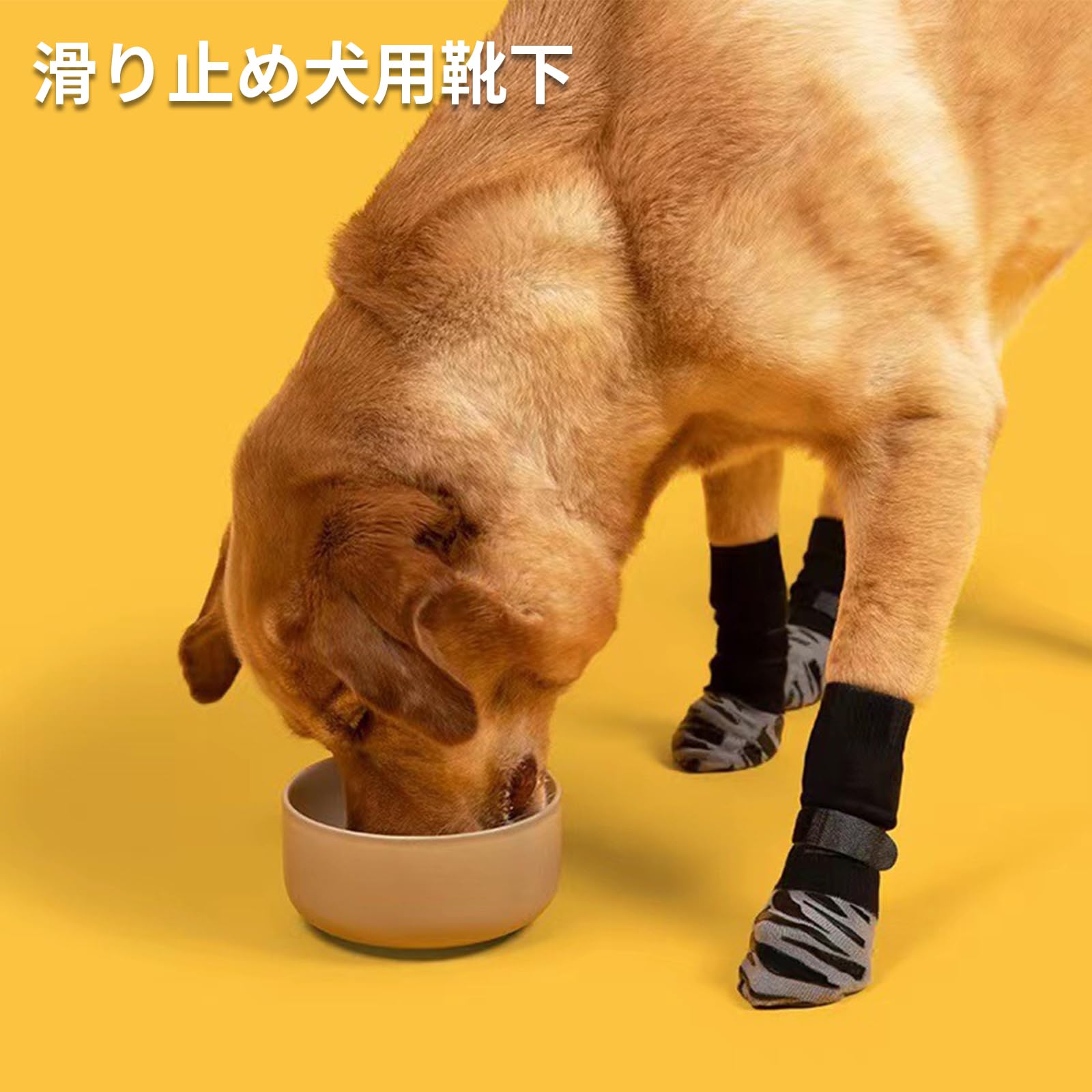 大輝王の＼在庫一掃／aninako ペット用 靴下 くつ下 くつした ソックス 4枚セット 滑り止め 犬用 靴下 履かせやすい ベルクロ付き 足 肉球保護 ケガ予防 足舐め防止 防寒 老犬介護用｜アングル2