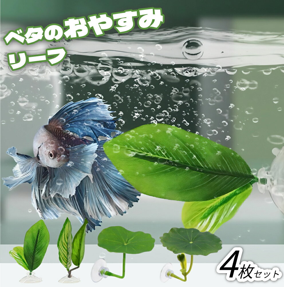 商品情報 お勧めポイント ★ 【自然界での水草の陰に隠れ】4枚組のリアルなブレードデザインで、水中環境を自然に再現します。二層の人工水草がベタのストレスを和らげ、活発な遊泳行動を促します。 ★ 【柔らかいデザイン】ブレードは安全で無毒で、塗装や色あせはありません。柔らかい素材はベタの繊細なひれや鱗を傷つけず、安全な隠れ場所を提供します。 ★ 【強力な吸盤】吸盤で立体的な配置が可能です。改良された吸盤により、ガラス面にしっかりと固定されます。ブレードの角度と高さは360度自由に調整できます。 ★ 【多機能空間創造】休息、産卵、遊びの3つの機能を同時に満たします。密集した葉はベタの縄張り意識を軽減し、ピーコックベタなどの色鮮やかな品種の美しさを高めます。 カラー グリーン 寸法 画像にご参考 重量 約2g 梱包内容 4枚入り ご注意 ※掲載商品の仕様、デザイン、価格等は予告なく変更する場合や取扱いを中止する場合もございますのでご了承ください。この理由でお客様都合での返品等はご対応致しかねますので何卒、ご理解、ご了承くださいますようお願い申し上げます。 ※ご利用端末環境によって、商品画像と実物では色合いが異なって見える場合がございます。生産ロット毎に多少のお色味の差が生じる差がございます。 備考 注文が殺到した場合、6日から10日かかる場合がございます。到着した商品に万が一不備等がありご満足いただけない場合はレビューご記載前に 是非ご遠慮なくお問い合わせください。 　　　　　　　　　　　　　　