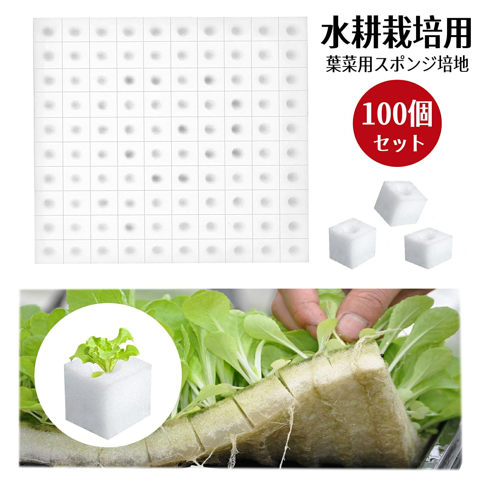 水耕栽培 スポンジ 葉菜用培地 自作 種まき スポンジ ウレタン 培地 スクエア 水耕スポンジ ブロック 無土壌栽培 苗スポンジ 便利性 通気性 植栽スポンジ 花 野菜植え 植物栽培 庭園 室内 苗床 園芸 定植 家庭用