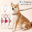 【当日出荷】スリップリード 簡単装着 犬用首輪 しつけ カジュアル 小型、中型、大型犬 レザーハンドル ナイロンロープ 持ちやすい 引っ張り防止 軽量 丈夫 訓練 吠え防止 トレーニング 長さ150cm メール便送料無料