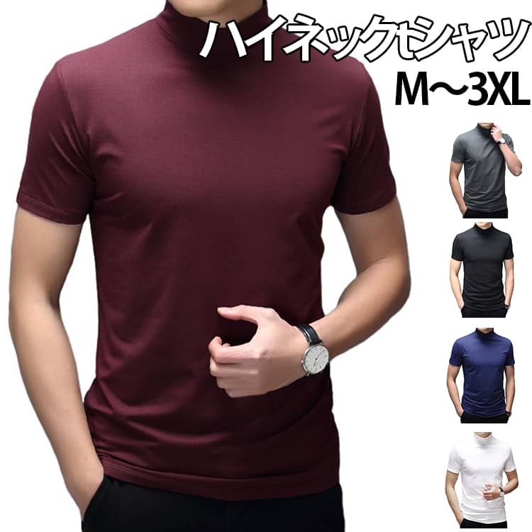 樂天商城 - ハイネック tシャツ メンズ 半袖 tシャツ 無地 カットソー 夏 モックネック ハイネックtシャツ ゴルフ ゴルフウェア カジュアル シンプル ビジネス オフィス 普段着 春 夏 秋 夏服 定番 シンプル オフィス 仕事 送料無料