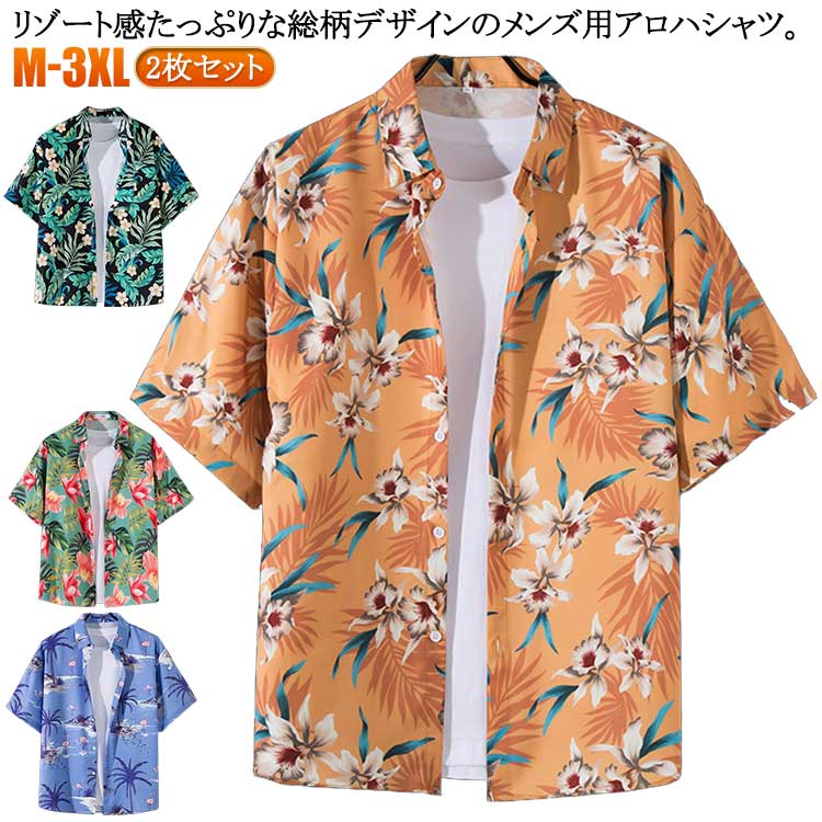 ϥ    ܥ˥  ȥåץ Ⱦµ  ϥ  2祻å 奢륷   ӡ...