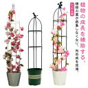 オベリスク 支柱 トレリス 高さ調節可能 操作簡単 金属製 簡易組立式 つる性植物 つる花 バラ用 ガーデン 支柱 花支え 花 園芸用品 バラ 薔薇 庭 ガーデニング 誘引 植物サポート オベリスクアーチ プランター おしゃれ 植木鉢 庭 栽培 装飾