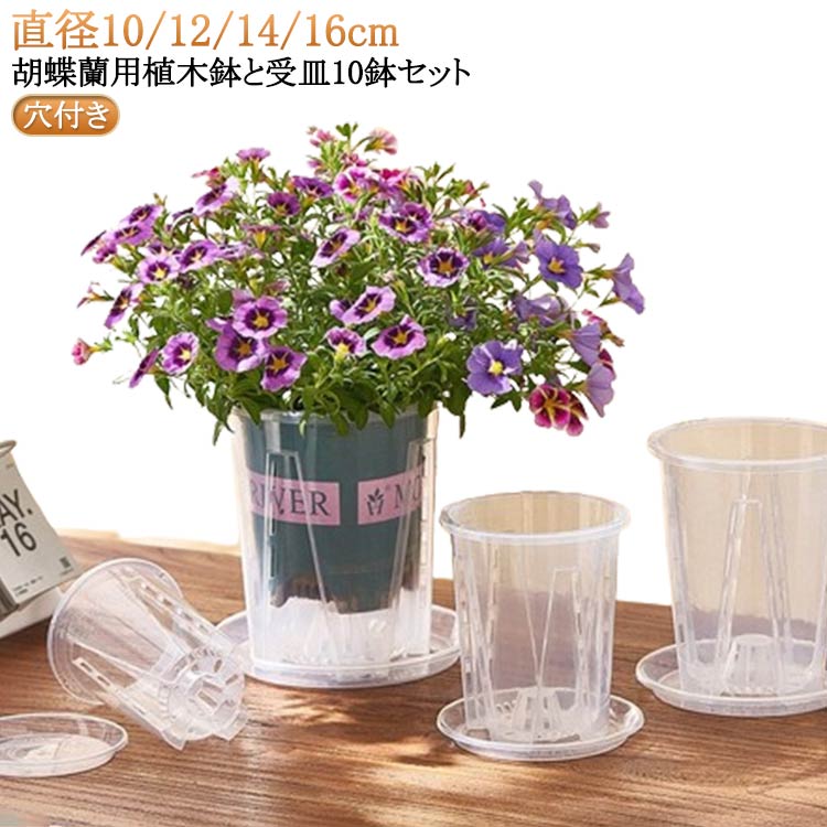 植木鉢 10鉢セット 蝶蘭 植木鉢 透明 穴付き プラスチック 蘭の鉢 胡蝶蘭鉢 洋蘭鉢 受皿付き 屋内 屋外 胡蝶蘭の植え替え オーキッドポット 観葉植物 多肉植物 育苗ポット プランター 保育園ポット 送料無料 直径10/12/14/16cm