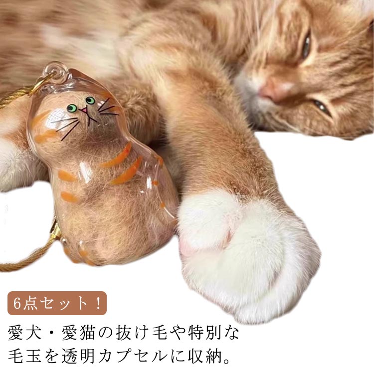 �ڥå� ���� ������ Ʃ�� �������� �ڥå� ǭ���Ӽ�Ǽ�ܥȥ� 6�����å� �ڥåȥ��ꥢ��ܥȥ� ǭ�Υ����ۥ���� �Ӥ��ݴɤ���ܥȥ� ���襤�� �ڥåȤҤ� ...