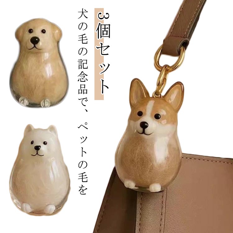 Ʃ�� �ڥå� �������� ������ 3������ �����Ӽ�Ǽ�ܥȥ� ���� �ڥå� �ڥåȥ��ꥢ��ܥȥ� ���Υ����ۥ���� �Ӥ��ݴɤ���ܥȥ� ���襤�� �ڥåȤҤ� ȴ...