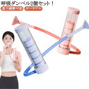 呼吸ダンベル 肺活量アップ 呼吸器具 グッズ ピラティス 呼吸トレーナー スピロトレーナー 肺活トレーナー 鍛える 呼吸筋 肺活トレーナー レベル調節 呼吸ダンベル 肺呼吸 息苦しい 肺活量トレーニング器 肺活量 ヨガ 器具 腹式呼吸 トレーニング器具 送料無料