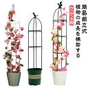 オベリスク 金属製 高さ調節可能 操作簡単 植物サポート 2/3/4段 簡易組立式 トレリス 庭 バラ用 つる花 支柱 花支え 花 園芸用品 バラ つる性植物 ガーデン ガーデニング 誘引 薔薇 オベリスクアーチ プランター おしゃれ 植木鉢 庭 栽培 送料無料