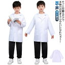 キッズ お医者さんごっこ 白衣 コスプレ 子供 ハロウィン 医者 獣医 100-150cm こども用 なりきり ドクター 衣装 仮装 コスプレ 診察衣 実験衣 ...