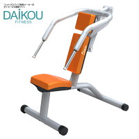 ダイコー 機能訓練用油圧マシン GYMシリーズ デイサービス トレーニングマシン フィットネスマシン DAIKOU直営店 ショルダープレス/プルダウン DK-1202 サーキットトレーニング 二の腕 筋トレ リハビリ特化型 高齢者