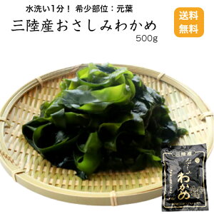 【送料無料】三陸産おさしみわかめ500g×1袋 希少部位 塩蔵わかめ 岩手県産 岩手 三陸産 湯通し塩蔵 三陸わかめ 元葉 塩わかめ さしみわかめ ワカメ 三陸ワカメ わかめ