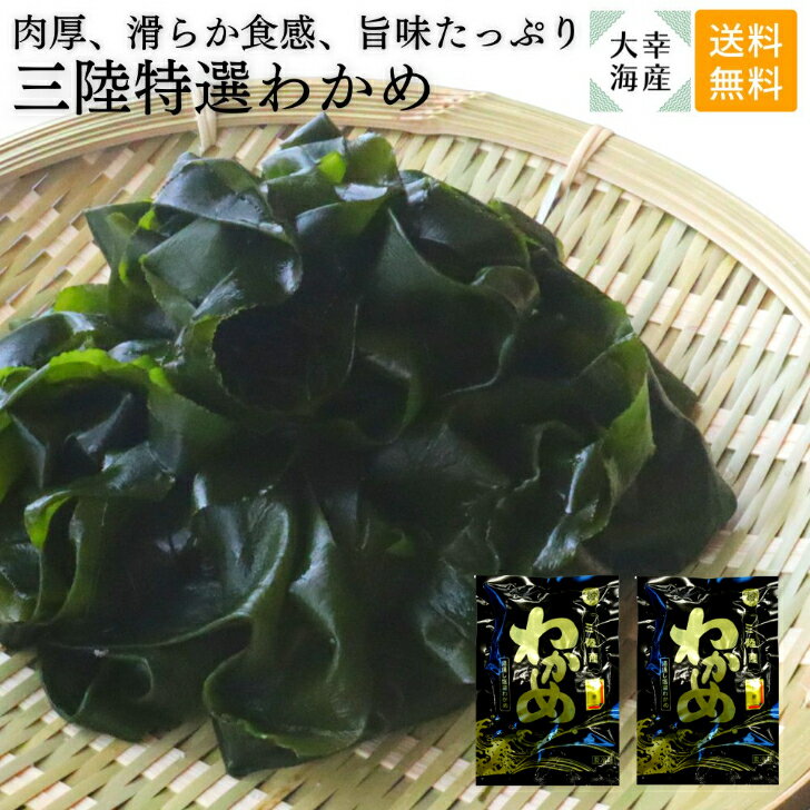 【送料無料】 【冷蔵便】三陸産塩蔵わかめ特選250g×2袋入 わかめ ワカメ 三陸わかめ 塩わかめ 三陸産 岩手県産 大船…