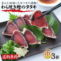 父の日 海鮮 送料無料 高知 かつおたたき ギフト 食べ物 かつおたたき 真空パック ...