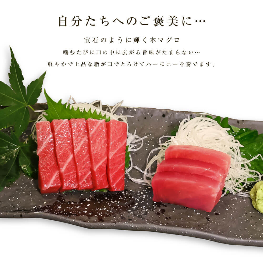ギフト 海鮮 送料無料 中トロ500g メバチまぐろ200g まぐろ プレゼント 食べ物 刺...