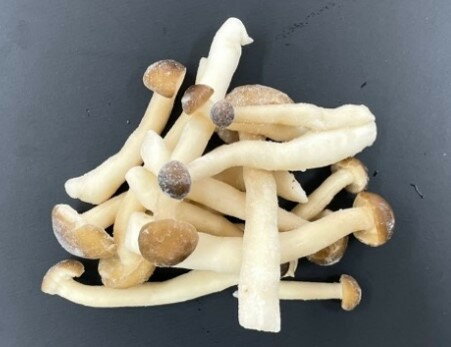 �������1405 �֤ʤ��ᤸ IQF 500g ���Υ�������ɥ��ա�3980�߰ʾ�����̵����