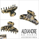 アレクサンドルドゥパリ ヘアクリップ（M）ALEXANDRE DE PARIS ACCM-7705 Basic Classique PINCE ギフト可 2