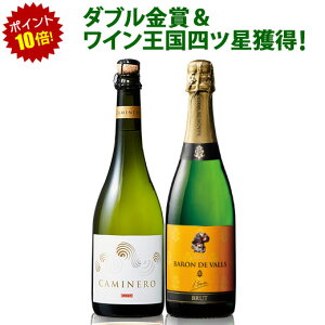 ポイント10倍！ダブル金賞＆高評価！スペインカバ＆チリスパークリング2本セット ワインセット チリワイン スパークリングワイン