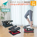 エアロライフ ストレッチステッパー DR-3835 カウントメーター付き 保護マット付き 家庭用 自宅用 有酸素運動 ダイエット 筋トレ エクササイズ AERO...