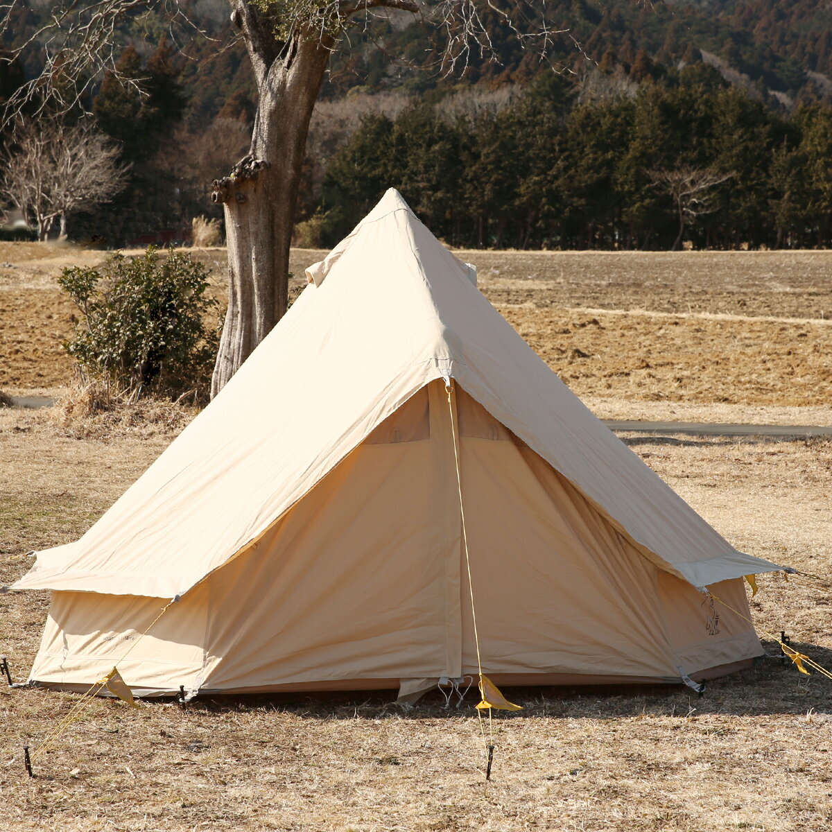 yN[|4킠zmfBXN Nordisk AXKh ebN ~j eg Asgard Tech Mini Tent Sand 148055 Colour My Adventure Lv AEghA y Rbg