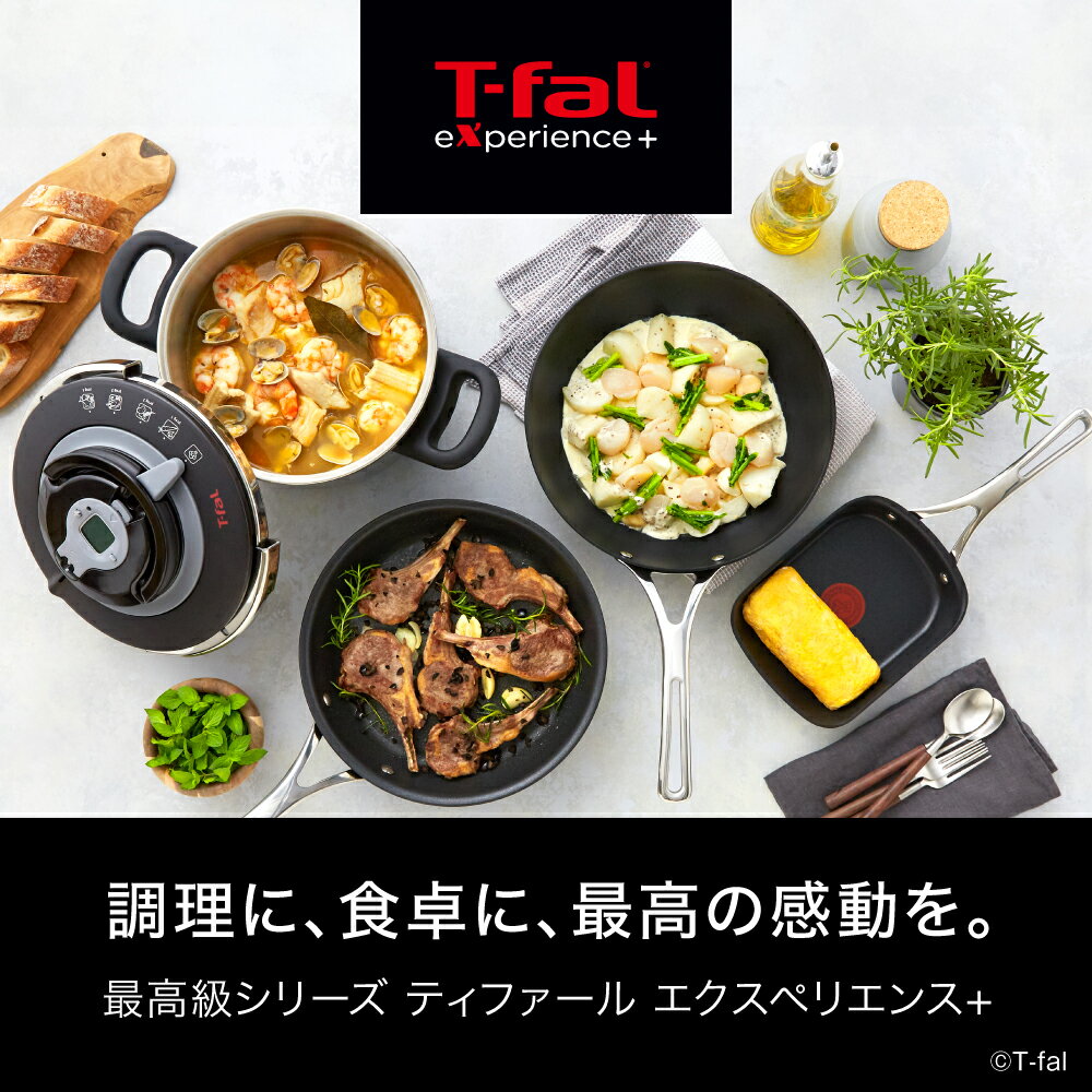 ティファール T-fal IH対応 ガス ガス火 直火 兼用 エクスペリエンス＋ フライパン...