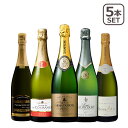 金賞ワインのギフト 【ポイント5倍 5/10】金賞入り！辛口シャンパン飲み比べ5本セット フランス ワインセット wine