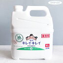 【液体ハンドソープ】キレイキレイ 薬用 ハンドソープ 4L 詰め替え 液体 つめかえ用（風邪予防 手洗い石鹸 業務用洗剤 ビッグサイズ 大容量 お得サイズ 衛生用品 ウイルス対策 手洗い）ライオン ハイジーン