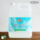 【衣料用洗濯洗剤】緑の魔女 ランドリー 5L 詰め替え 洗濯洗剤 業務用サイズ(ビッグサイズ・パイプクリーナー・ブルー色・青色・水色・洗濯洗剤・液体洗剤・環境・...