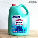 【トイレ用洗剤・クレンザー】トイレマジックリン 強力クレンザー 4.5kg 詰め替え用 大容量 つめかえ（トイレ掃除・トイレ・マジックリン・強力・黄ばみ・黒ずみ・研磨剤・トイレ掃除・中性・ユーカリの葉の香り・便器・大掃除）花王 プロシリーズ