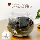 【キャットベッド】にゃんこの金魚鉢 キャットベッド カーテン付き 肉球シール付き 猫の金魚鉢(ペット用品・猫用ベッド・猫・ベット・PET素材)キャティーマン