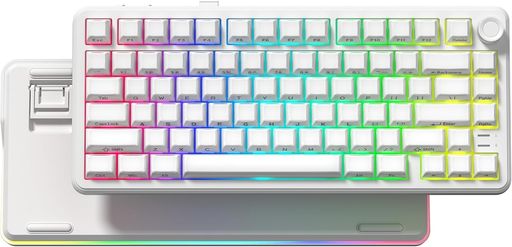 ワイヤレス メカニカル ゲーミングキーボード Womier L75 キーボード 80キー 75%配列 透明キーキャップ 3モード接続 BT5.0/2.4GHz/USB-C ホットスワップ可能 潤滑済みスイッチ ガスケット構造 RGBバ…