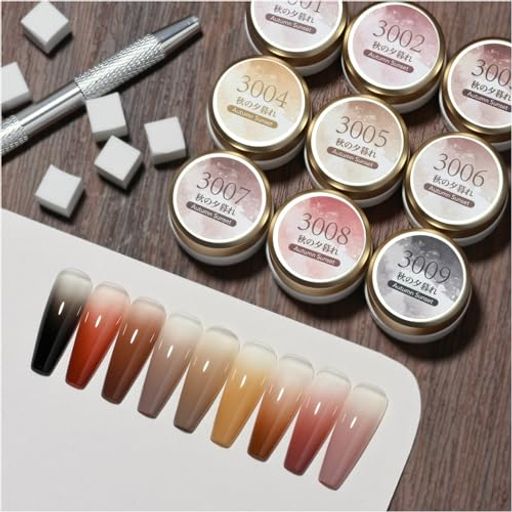 GAOYグラデーションジェルジェルネイルカラージェル9色セットペインティングジェルポンポンジェルスポンジジェルファンデーションジェル超高発色ネイルアートUV・L...