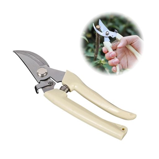 DoyimeФڤХ߻ڤХڤݥϥ߳Ĵǽ̰䤹̼ߺȥǥ˥󥰴տʪ