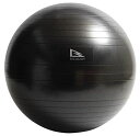 アルインコ(ALINCO) エクササイズボール75CM WBN075