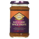 パタックス エキストラホットカレーペースト 283G