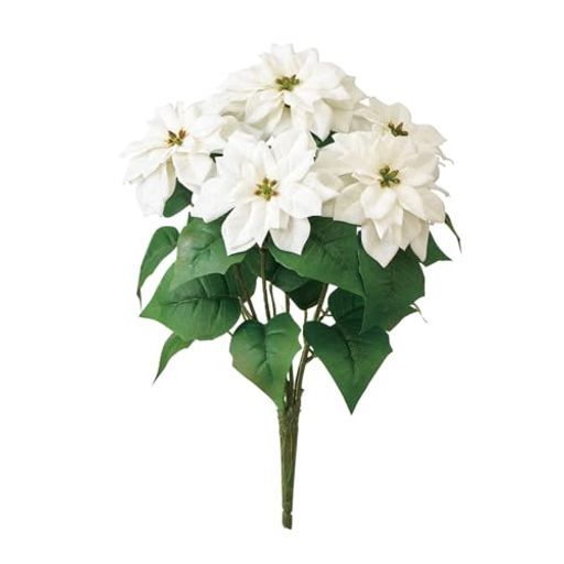 東京堂(Tokyodo)メリーポインセチアブッシュ5輪ホワイト花径12~13xL38xW30cmFX001490-001