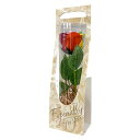 キューフラ(Q-FLA)ソープフラワー1輪レインボーショートステムミックスプレゼントお祝い一輪ボックスギフト781483