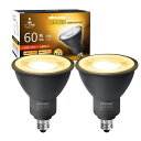 DiCUNOE11口金LED電球スポットライト電球色6W60W形相当2700K660lmLEDスポットライト密閉器具対応広角タイプAC100V非調光PSE認証済み2個入ブラック